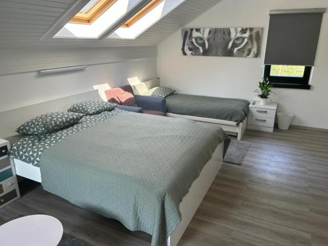 A&E Apartment Ljubljana Eksteriør billede